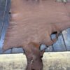 IMG_1885 Brown leather hide on wooden surface.
