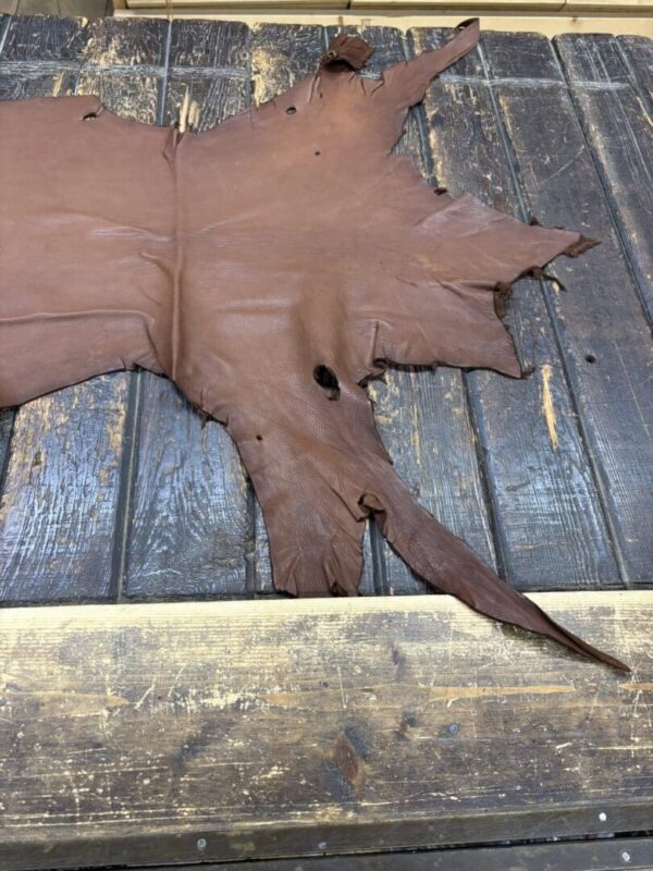 IMG_1886 Brown leather hide on wooden surface.