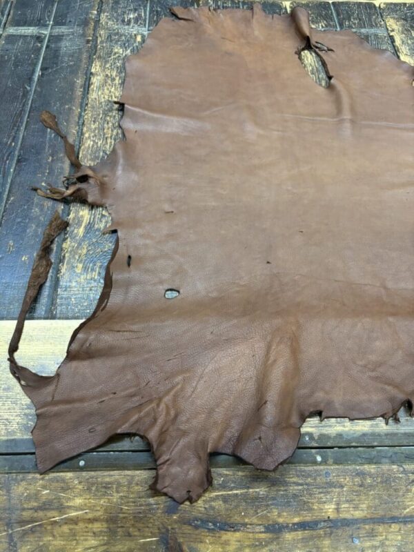 IMG_1889 Brown leather hide on wooden surface.