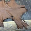 IMG_1898 Brown leather hide on wooden surface.