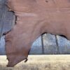 Brown leather hide on wooden surface.