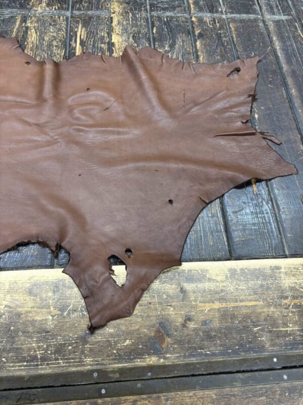 IMG_1906 Brown leather hide on wooden surface.