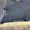 Black leather hide on wooden surface.