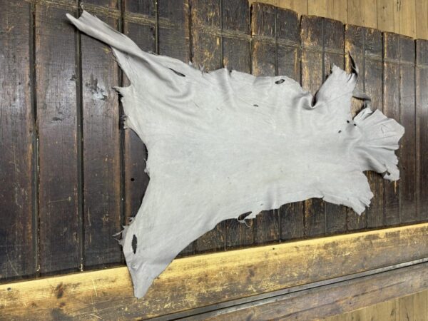 Animal hide on wooden surface.