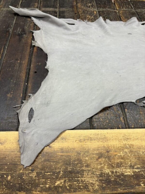 Gray animal hide on wooden surface.