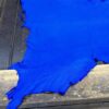 Bright blue leather hide on wooden surface.