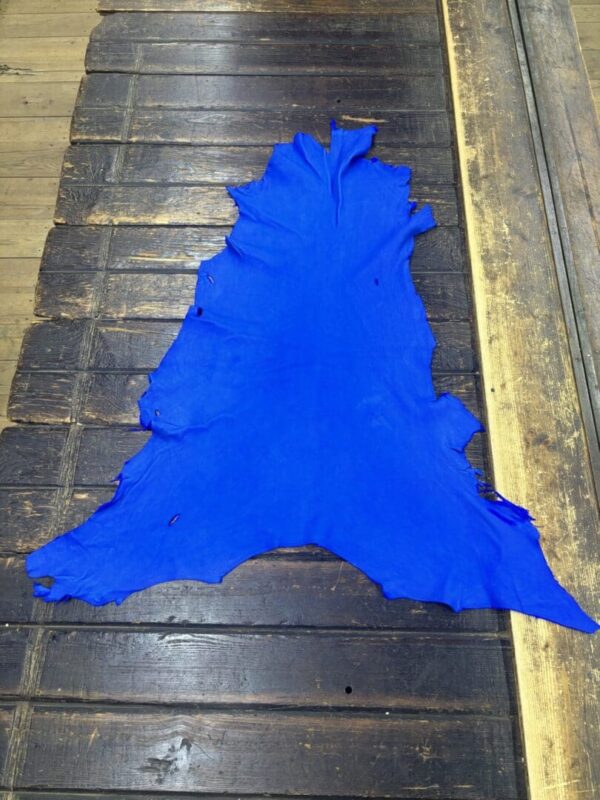 IMG_2092 - Copy Bright blue leather hide on wooden surface.