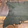 Green leather hide on a wooden surface.