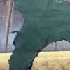 Green leather hide on wooden surface.