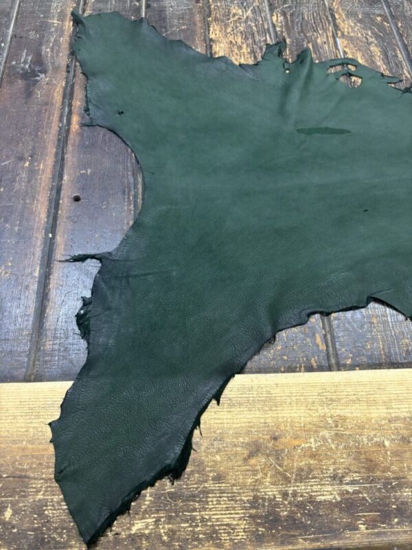 Green leather hide on wooden surface.