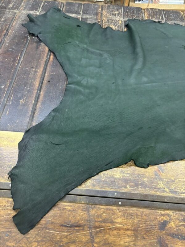 IMG_2119 Green leather piece on wooden surface.