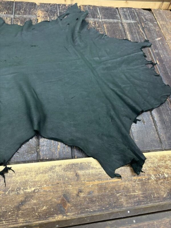 IMG_2120 Green leather hide on wooden surface.