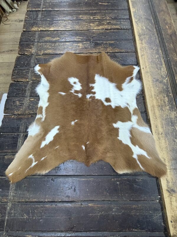 Hair on Calf Hide Rug, Color Brown and White