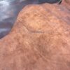Brown leather hide on wooden surface.