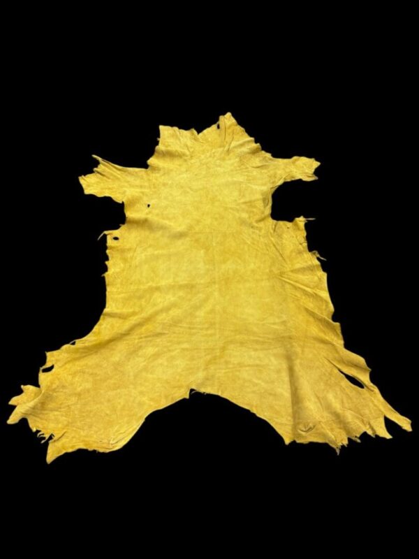 Yellow animal hide laid flat on black background.