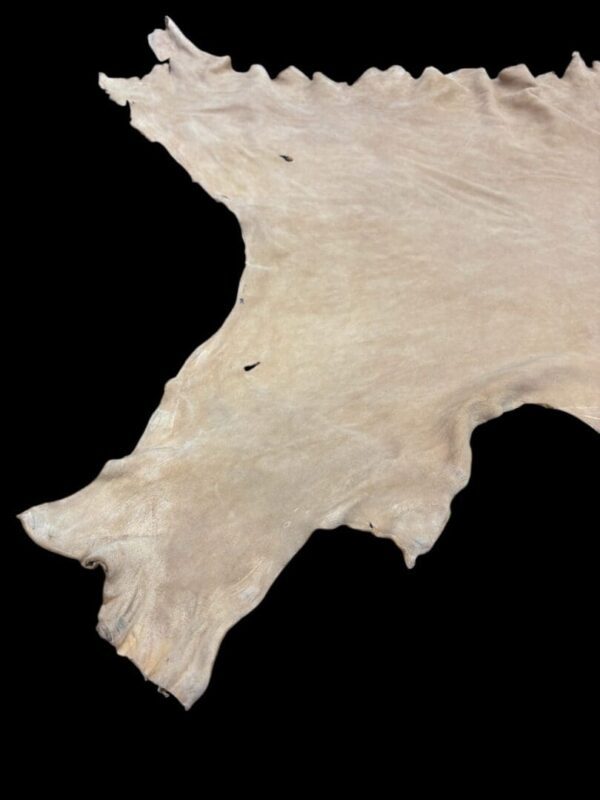 Animal hide on a black background.