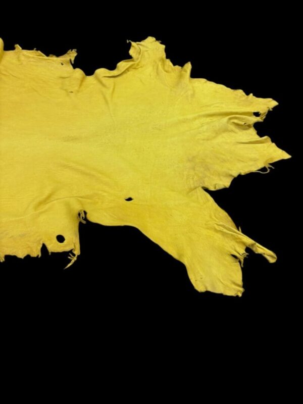 Yellow animal hide on a black background.