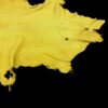 DFKB2775 Yellow leather hide on black background.