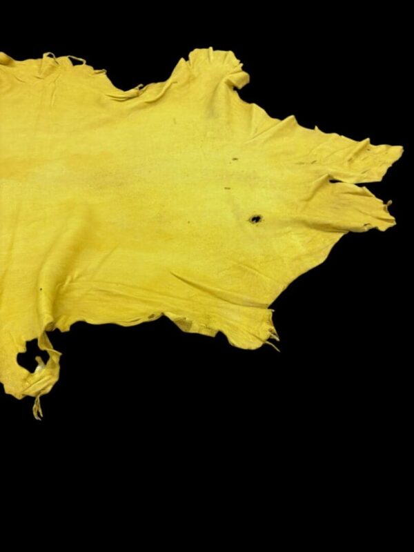 DFKB2775 Yellow leather hide on black background.
