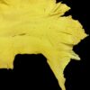 DKNM5988 Yellow animal hide on a black background.