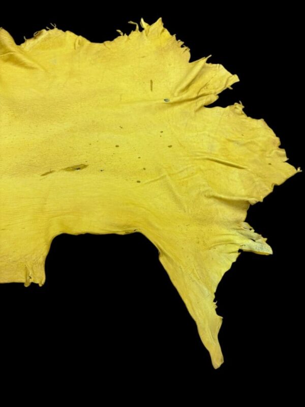 DKNM5988 Yellow animal hide on a black background.