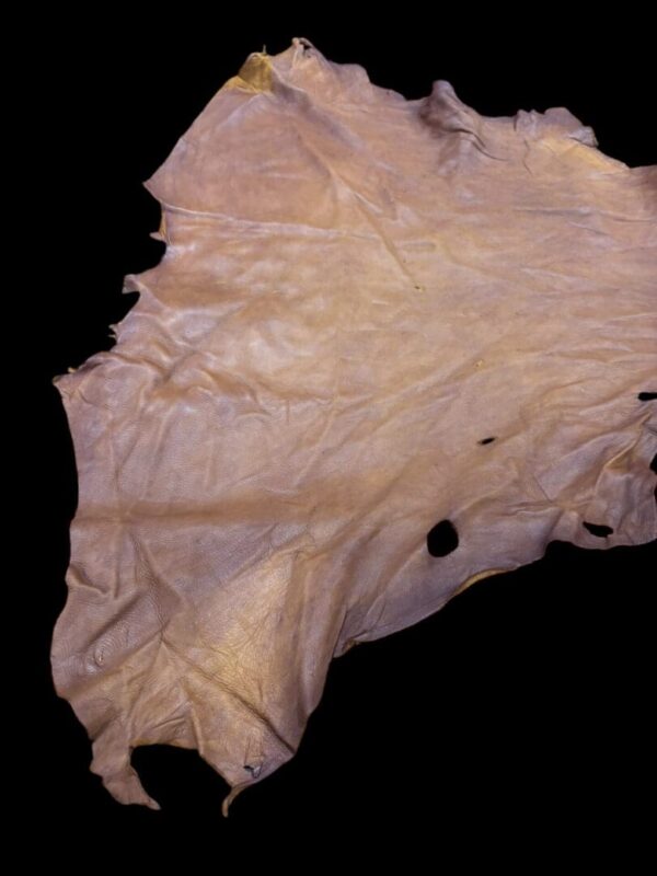 Animal hide placed against a black background.