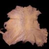 Tan animal hide on a dark background.