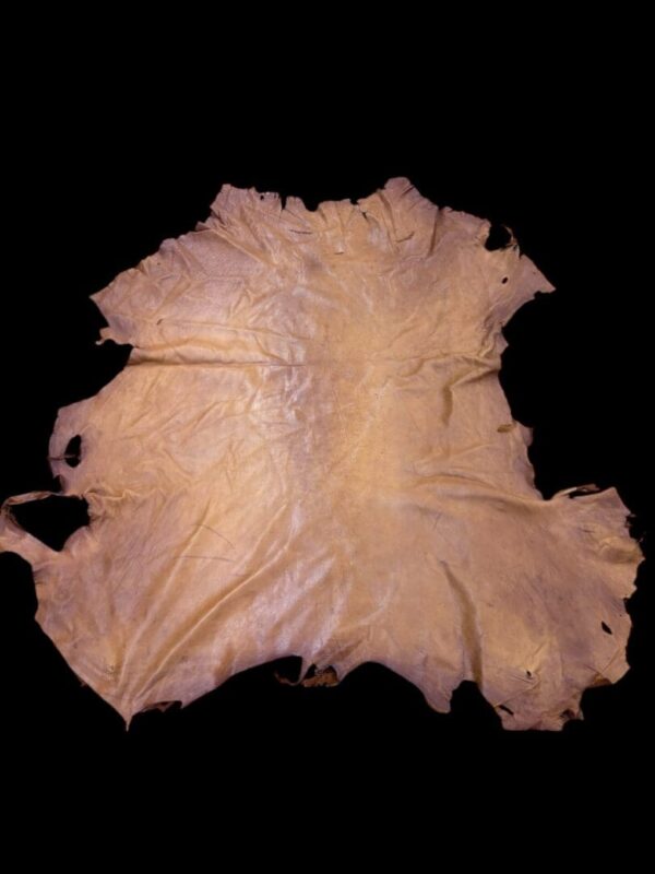 Tan animal hide on a dark background.
