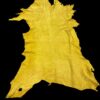 FSSW9684 Yellow animal hide on a black background.