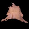 Tanned animal hide on a black background.