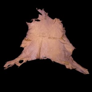 GFQZ8100 Tanned animal hide on a black background.