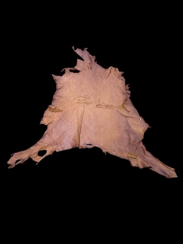 Tanned animal hide on a black background.