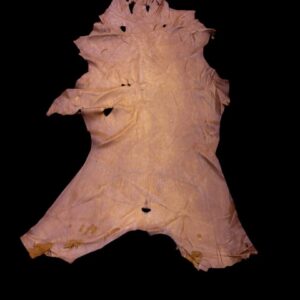 GSYR9694 Animal hide displayed against a black background.