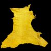 Yellow leather hide on a black background.