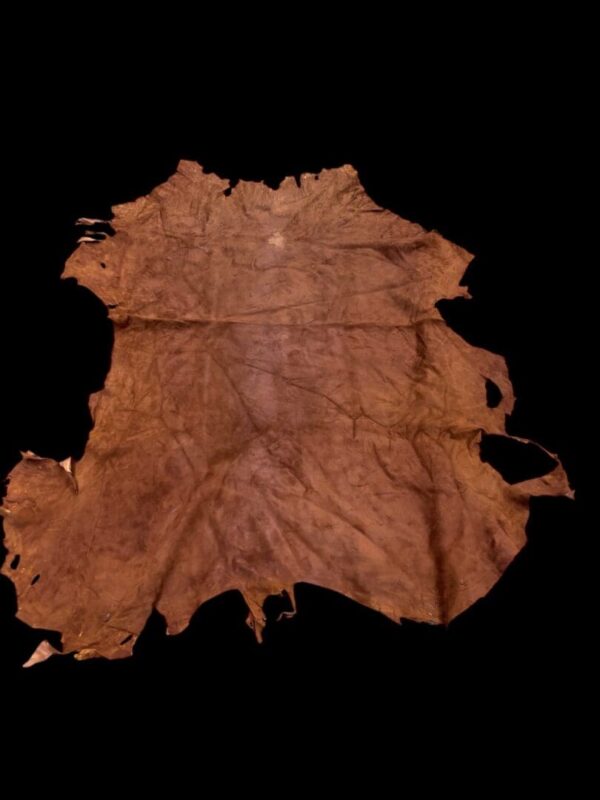 Brown animal hide on a black background.