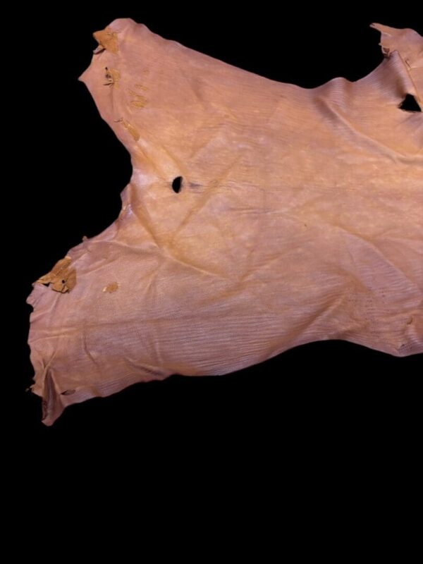 Ripped piece of brown fabric on black background.