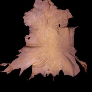 JAMR3074 Animal hide displayed on a black background.