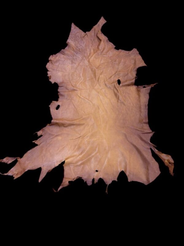 Animal hide displayed on a black background.