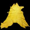 KBOM6110 Yellow animal hide on a black background.