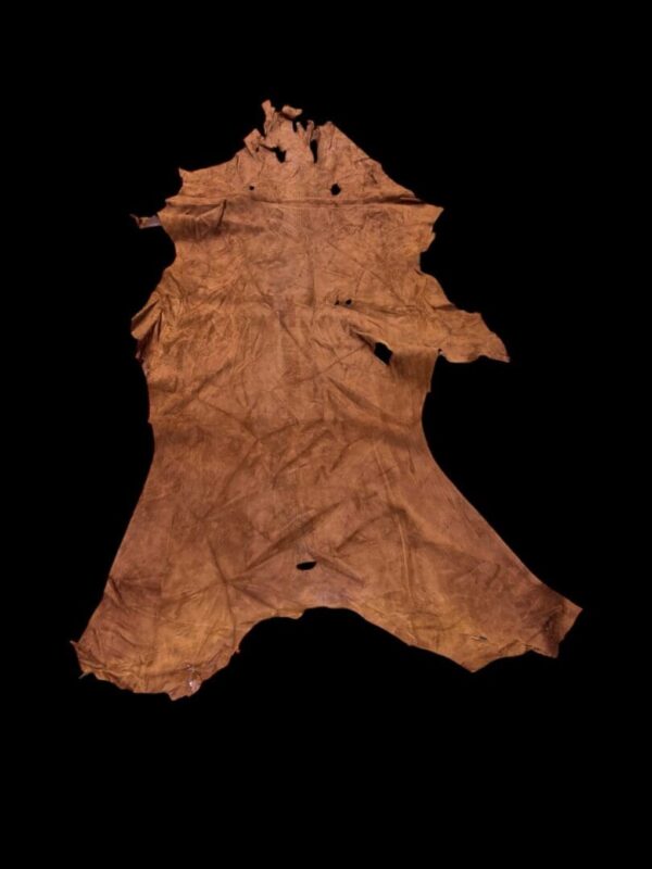 Animal hide on a black background.