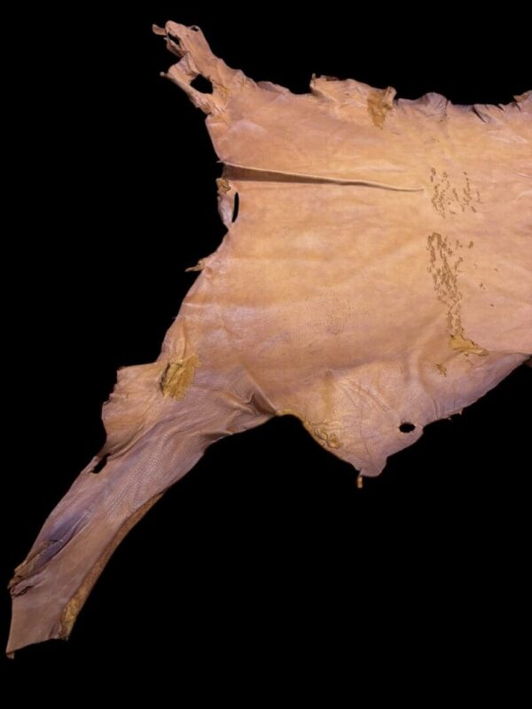 Ancient document or parchment on dark background.