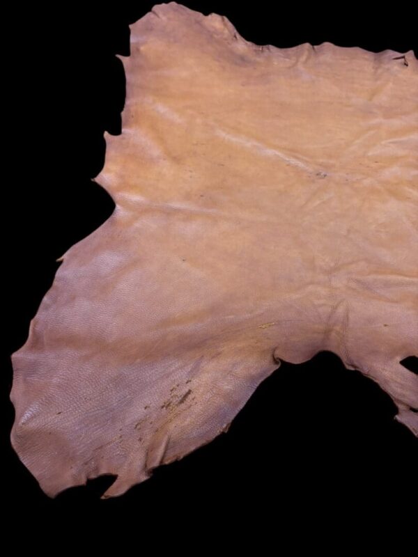 Tanned animal hide on a black background.