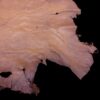 Tan leather hide with rough edges.