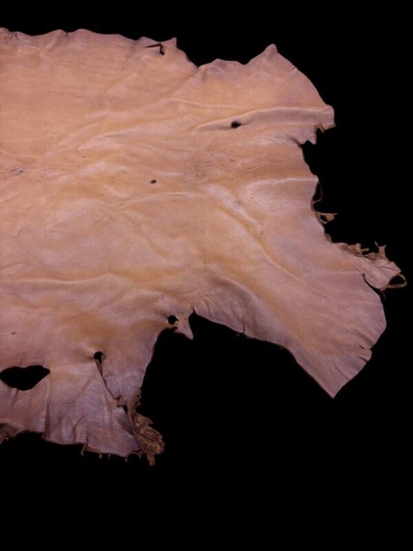 Tan leather hide with rough edges.