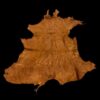 Tanned hide on a black background.