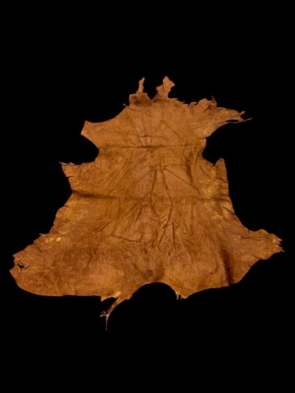 Tanned hide on a black background.