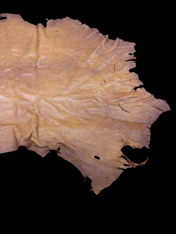 Tanned leather piece on black background.