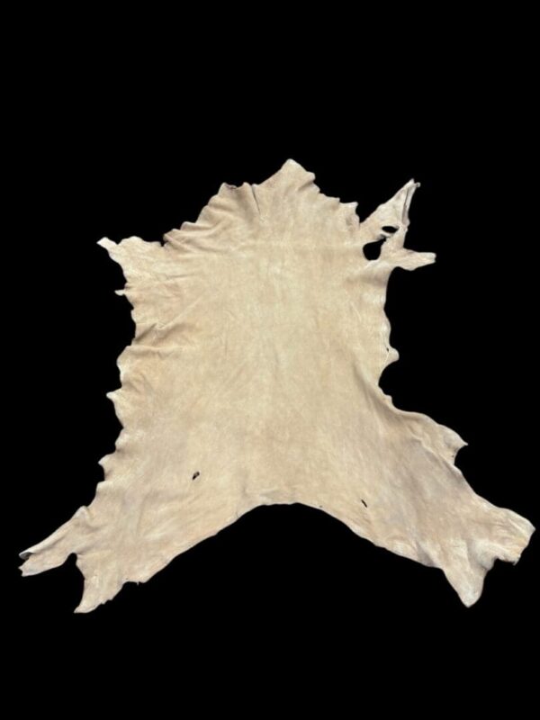 Animal hide on a black background.