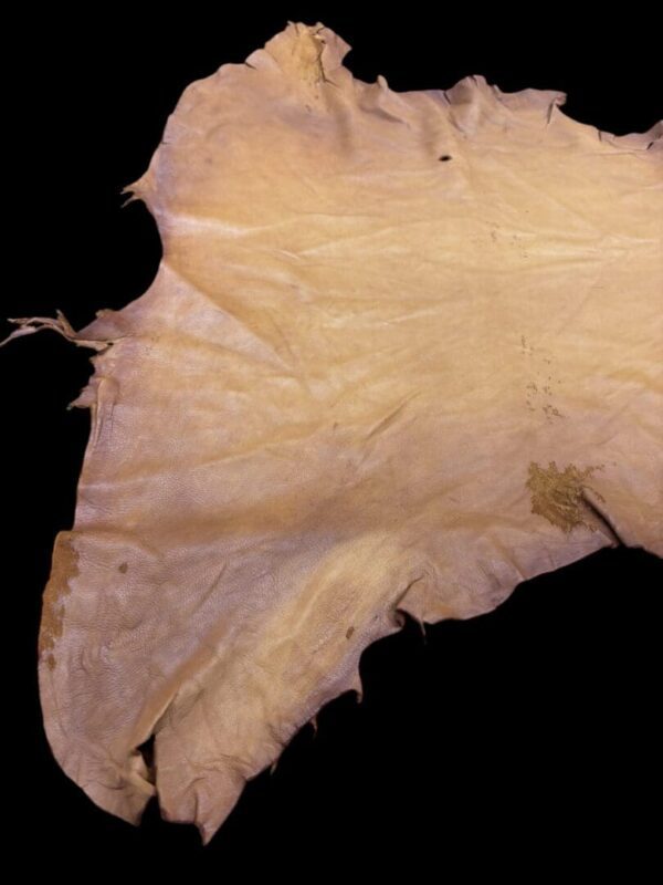Animal hide against a black background.