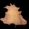Animal hide laid out flat against black background.